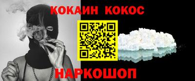 крисы Кингисепп