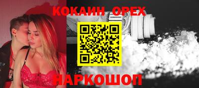 крисы Кингисепп