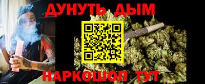 крисы Кингисепп