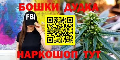крисы Кингисепп