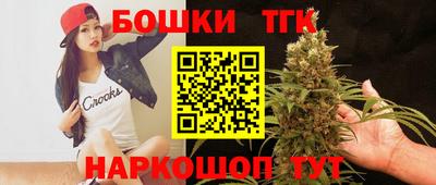 крисы Кингисепп
