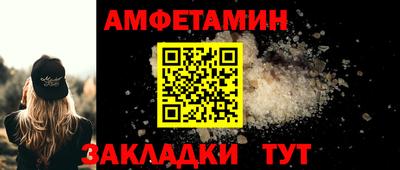 крисы Кингисепп