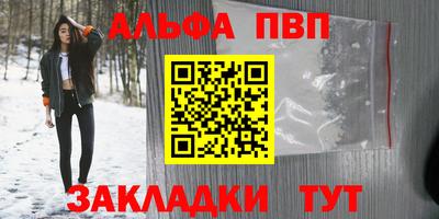 крисы Кингисепп
