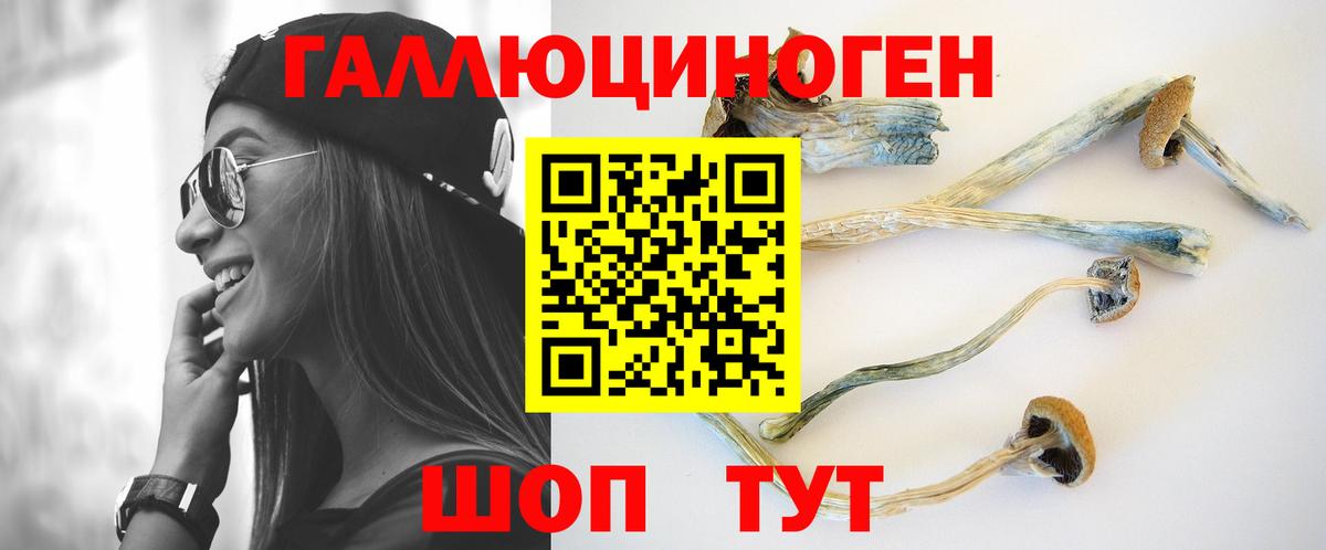 Буйнакск  Галлюциногенные грибы ЛСД  Псилоцибиновые грибы Cubensis  Вход с VPN 
