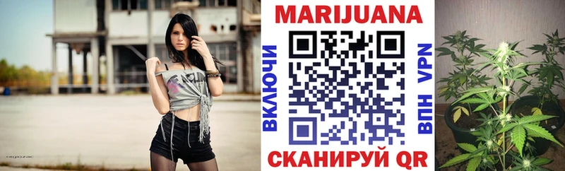 Бошки Шишки VHQ  цена наркотик  Буйнакск 